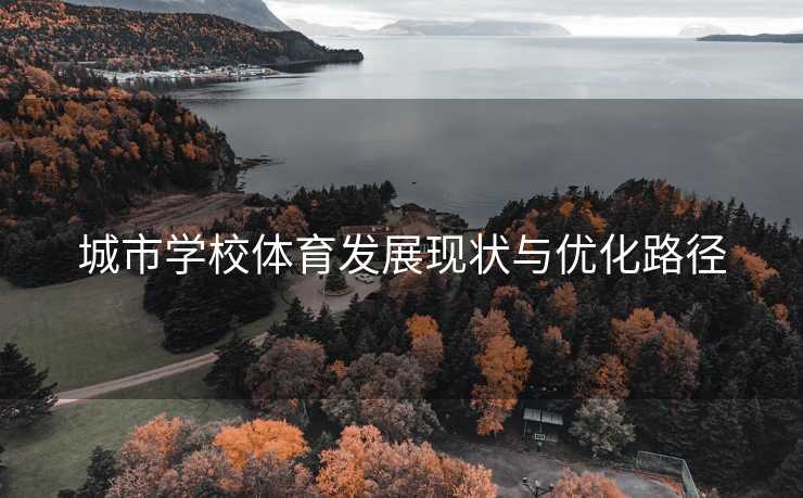 城市学校体育发展现状与优化路径